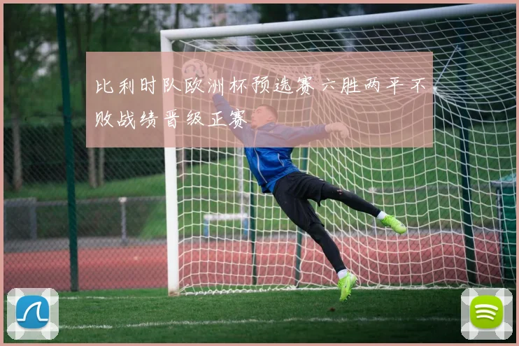 比利时队欧洲杯预选赛六胜两平不败战绩晋级正赛