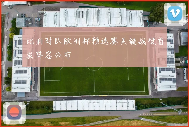 比利时队欧洲杯预选赛关键战役首发阵容公布