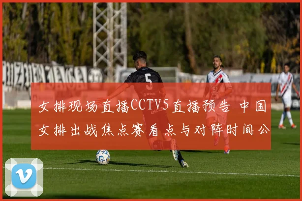 女排现场直播CCTV5直播预告 中国女排出战焦点赛看点与对阵时间公布