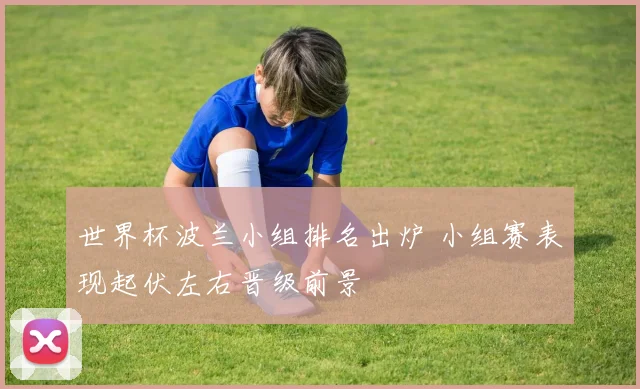 世界杯波兰小组排名出炉 小组赛表现起伏左右晋级前景