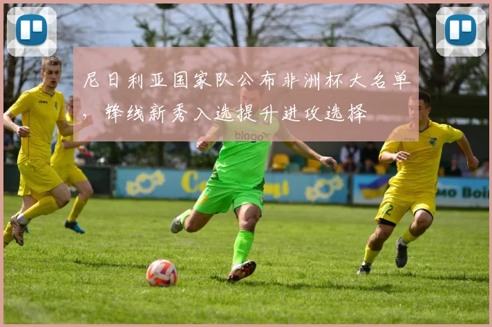 尼日利亚国家队公布非洲杯大名单,锋线新秀入选提升进攻选择