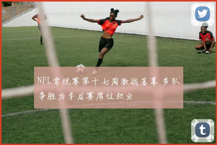 NFL常规赛第十七周激战落幕 多队争胜为季后赛席位积分