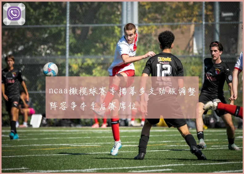 ncaa橄榄球赛季揭幕多支劲旅调整阵容争夺季后赛席位