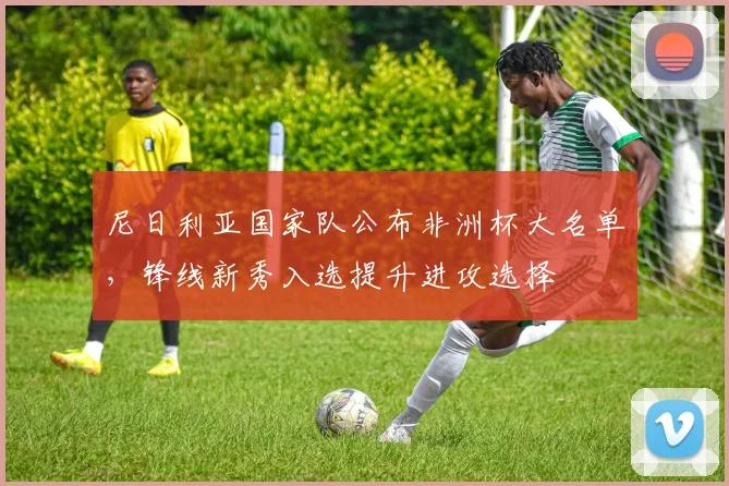 尼日利亚国家队公布非洲杯大名单,锋线新秀入选提升进攻选择