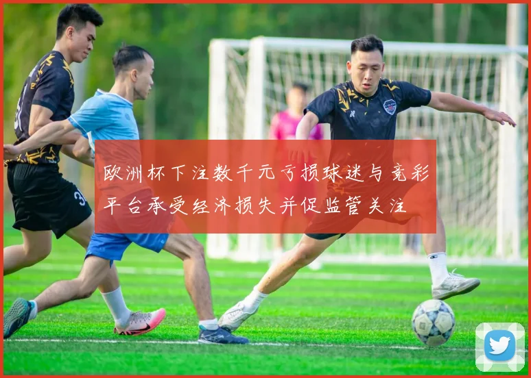 欧洲杯下注数千元亏损球迷与竞彩平台承受经济损失并促监管关注