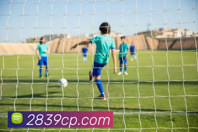 大阳城43335.cm登录地址平台生态图